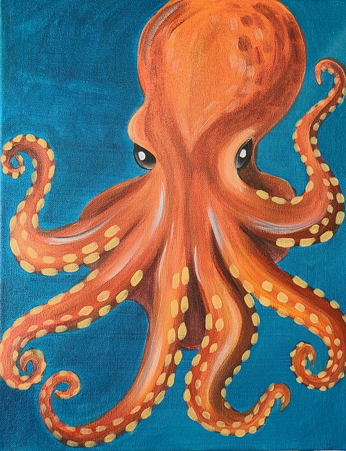 Octopus